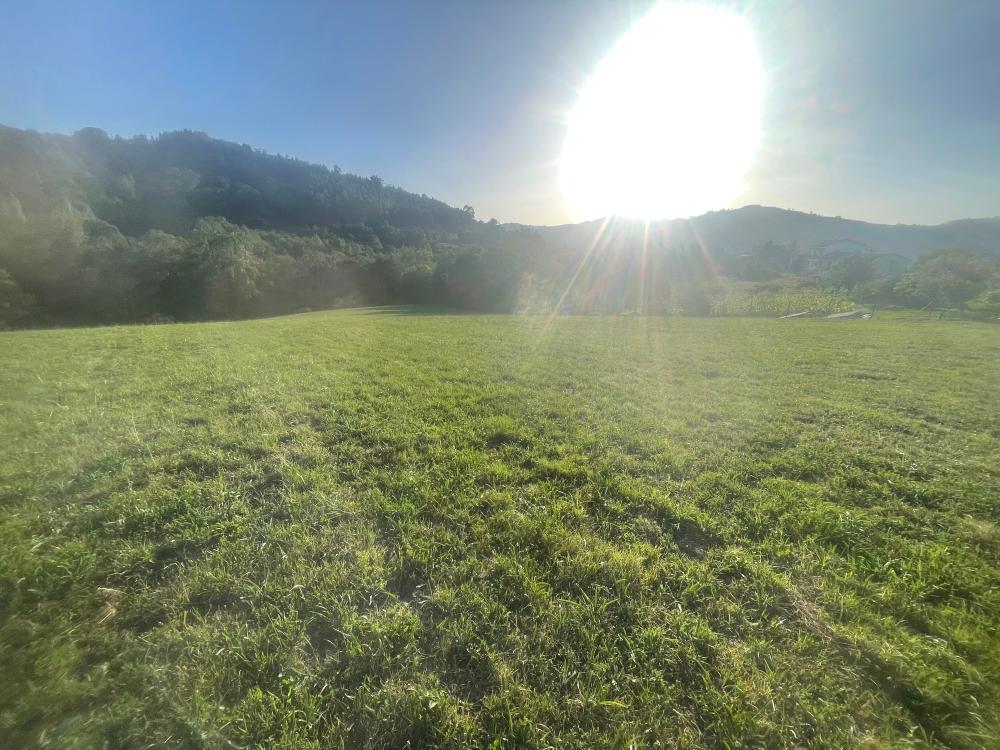 en venta finca rústica Selorio Gijón 3