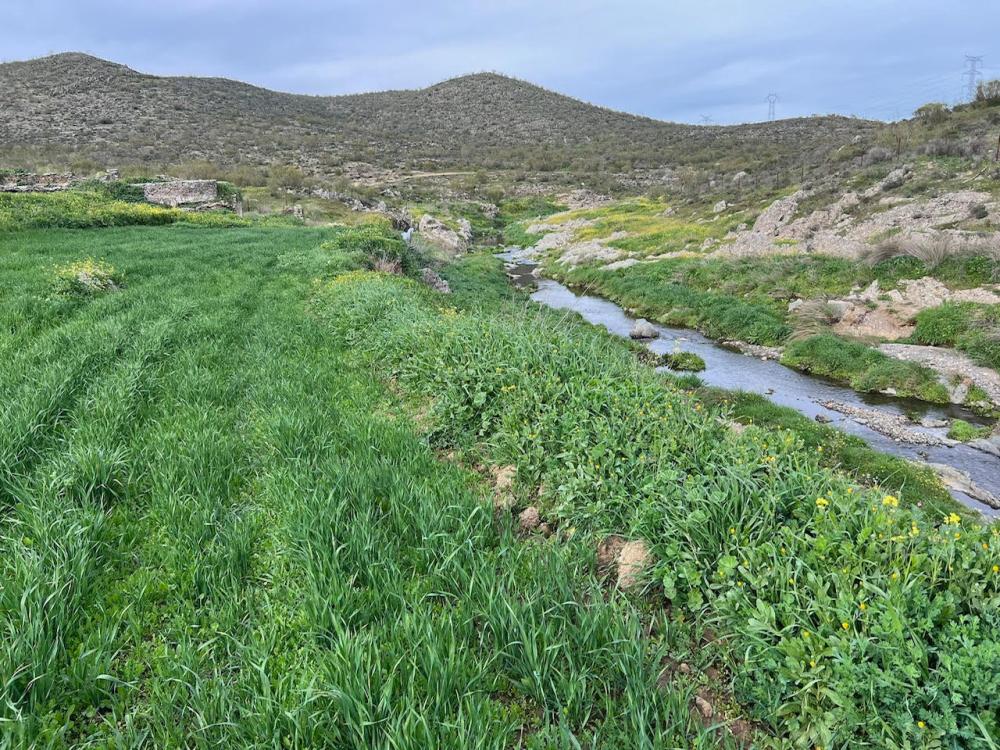  en venta terreno Montemolín Tentudia 1