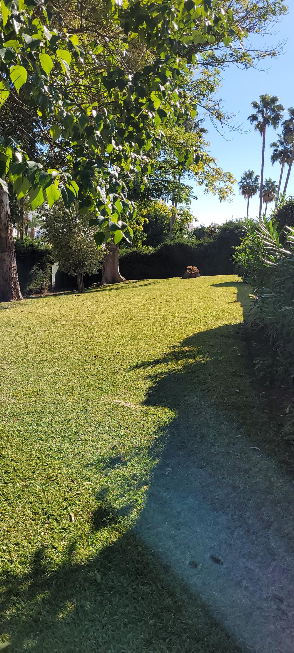  en venta casa de pueblo Nueva Andalucía Costa Del Sol Occidental 28