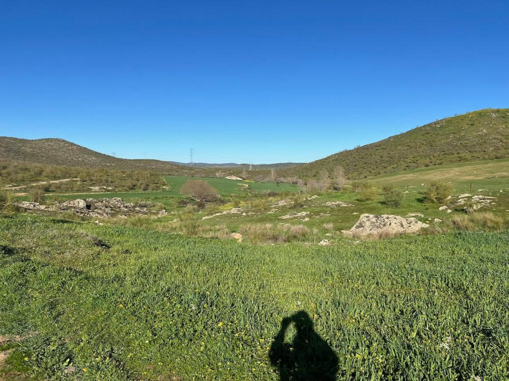  en venta terreno Montemolín Tentudia 10