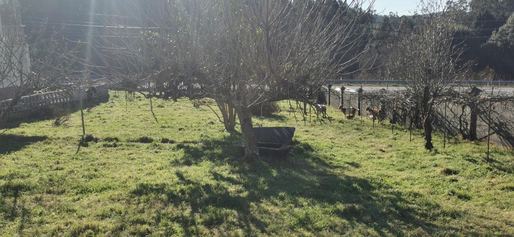 en venta casa Campo Do Hospital Ferrol 26