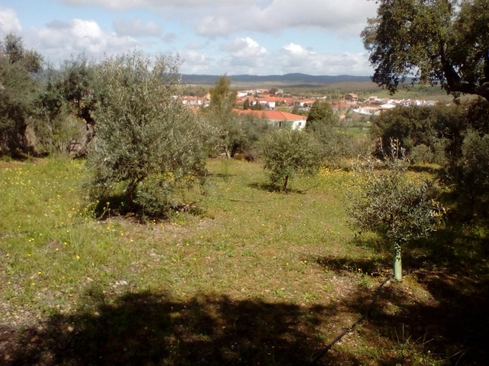  en venta casa La Codosera Alburquerque 9