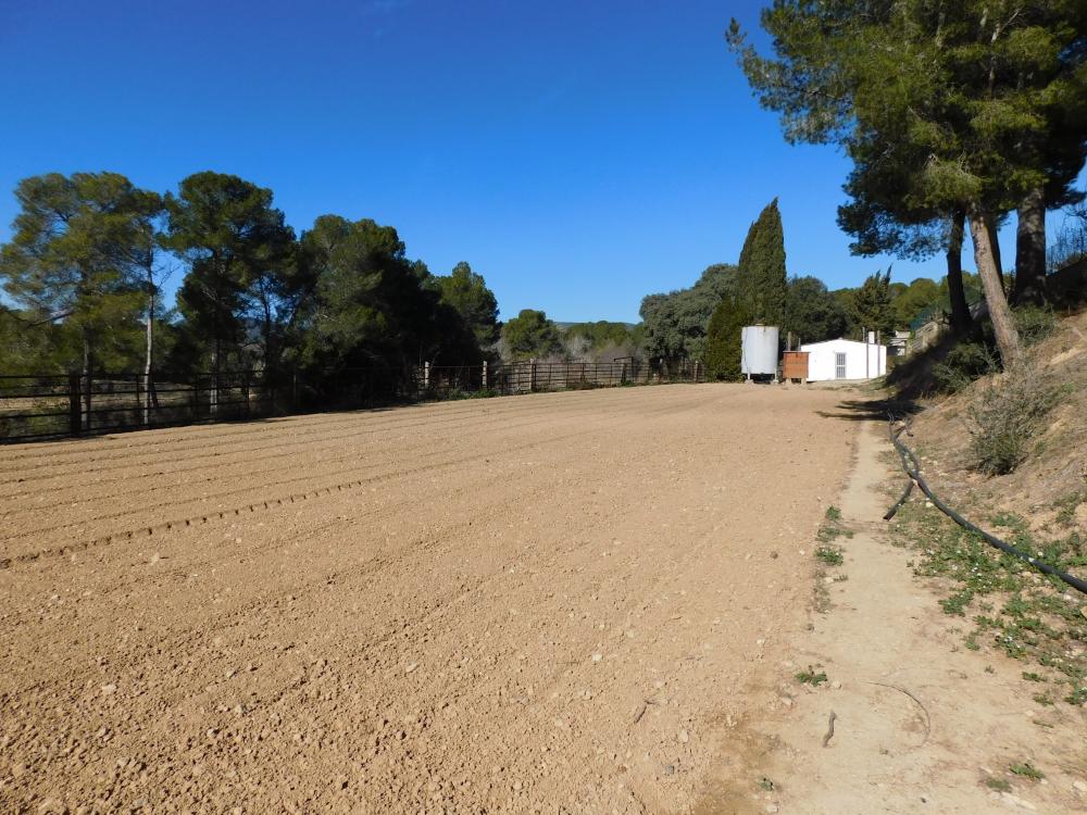  en venta chalet Guardiola De Font-Rubi Alt Penedès 6