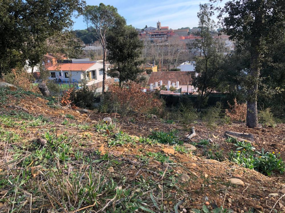  en venta terreno Sant Julia D'alfou Vallès Oriental 5