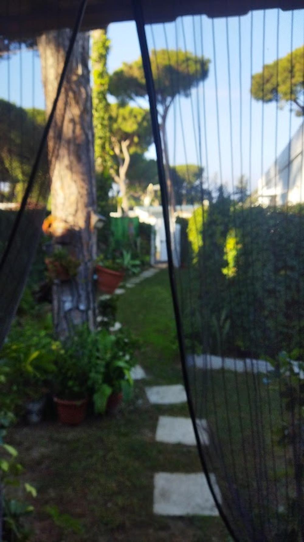  en venta finca rústica Chiclana De La Frontera Bahía De Cádiz 16