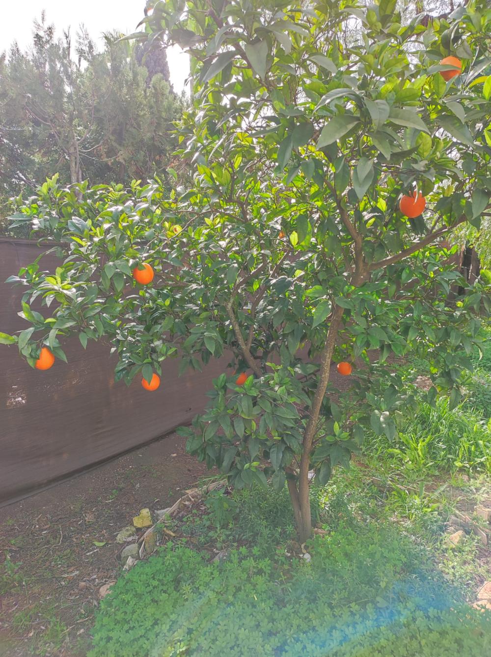  en venta chalet Alcalá De Guadaira Metropolitana De Sevilla 6