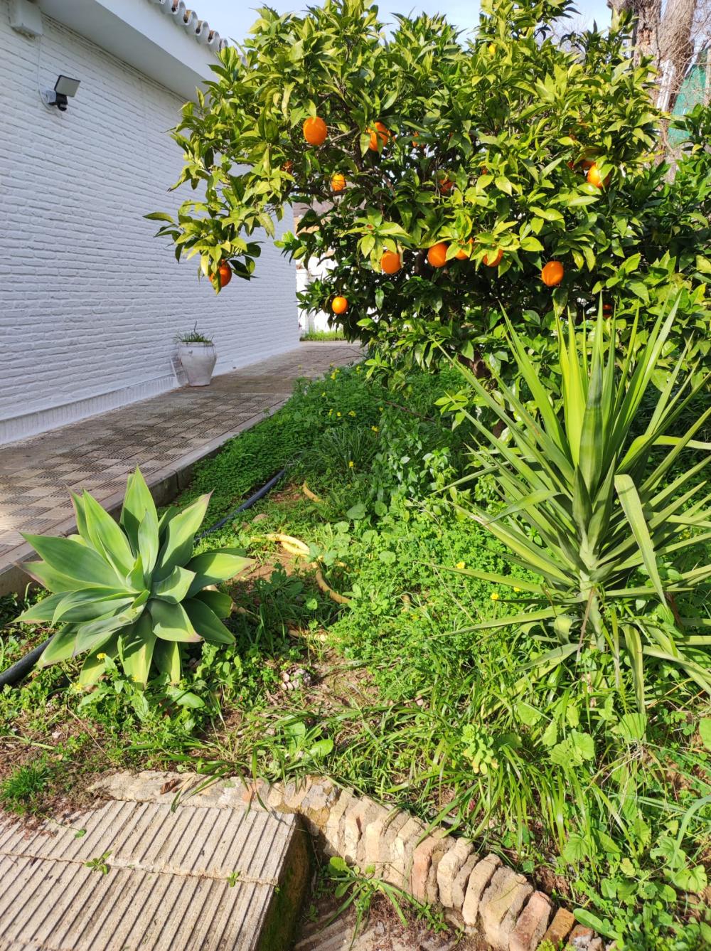  en venta chalet Alcalá De Guadaira Metropolitana De Sevilla 11