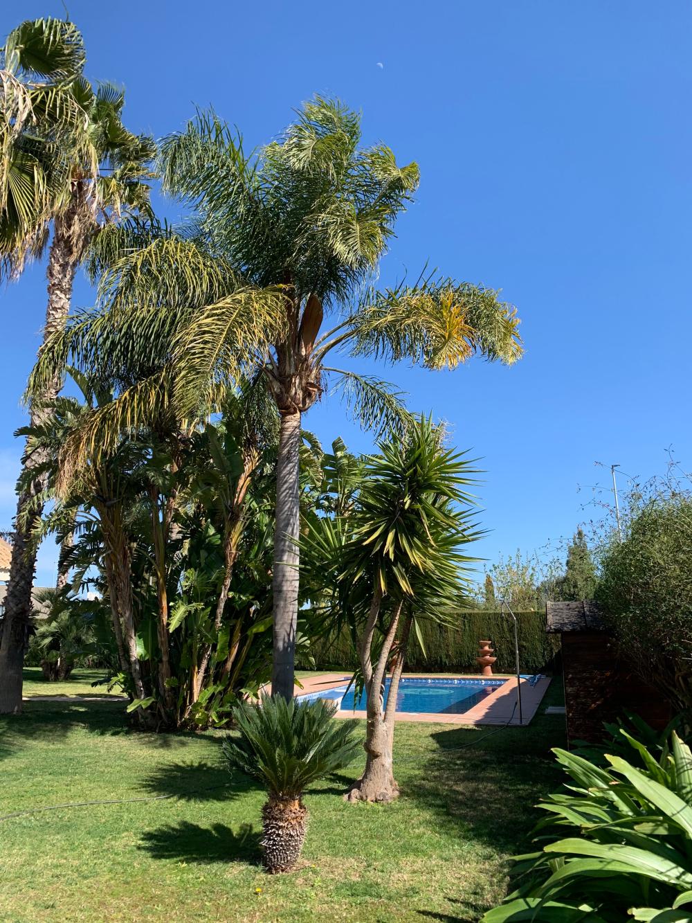  en venta chalet San Antonio De Benagéber Camp De Túria 3