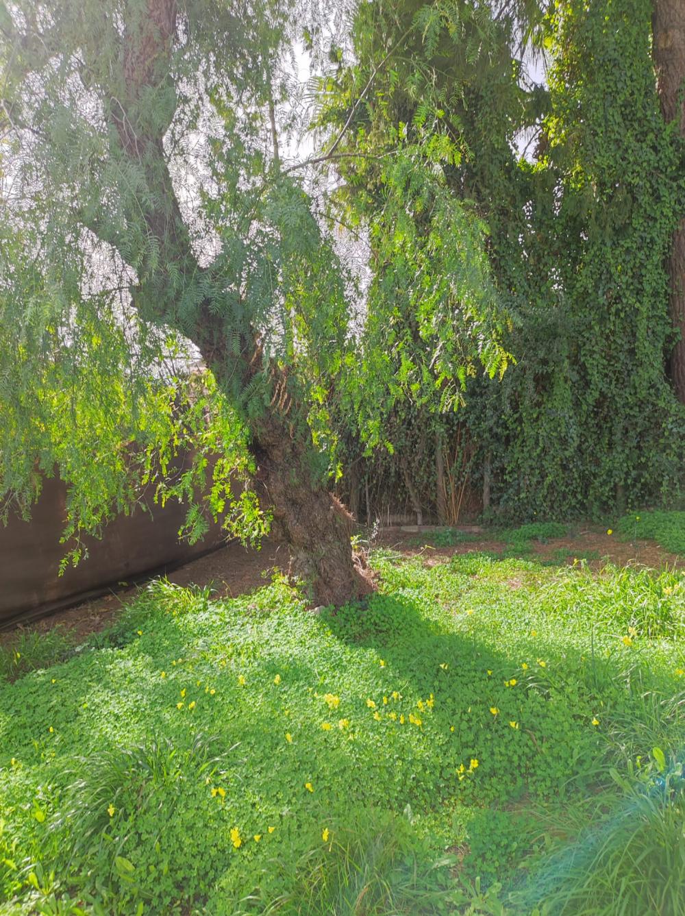  en venta chalet Alcalá De Guadaira Metropolitana De Sevilla 3