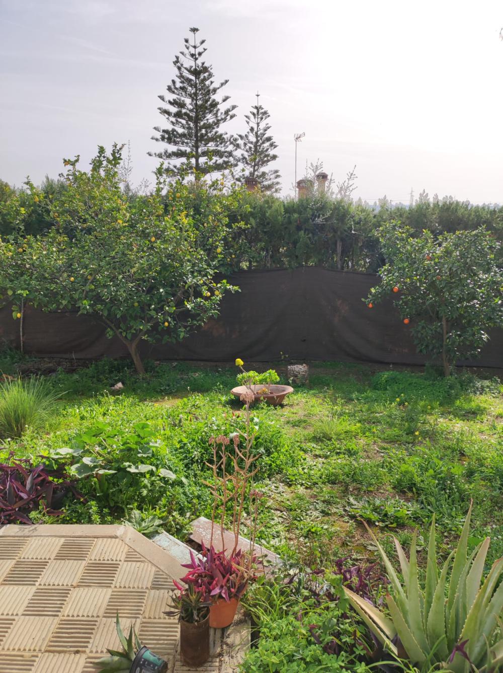  en venta chalet Alcalá De Guadaira Metropolitana De Sevilla 9