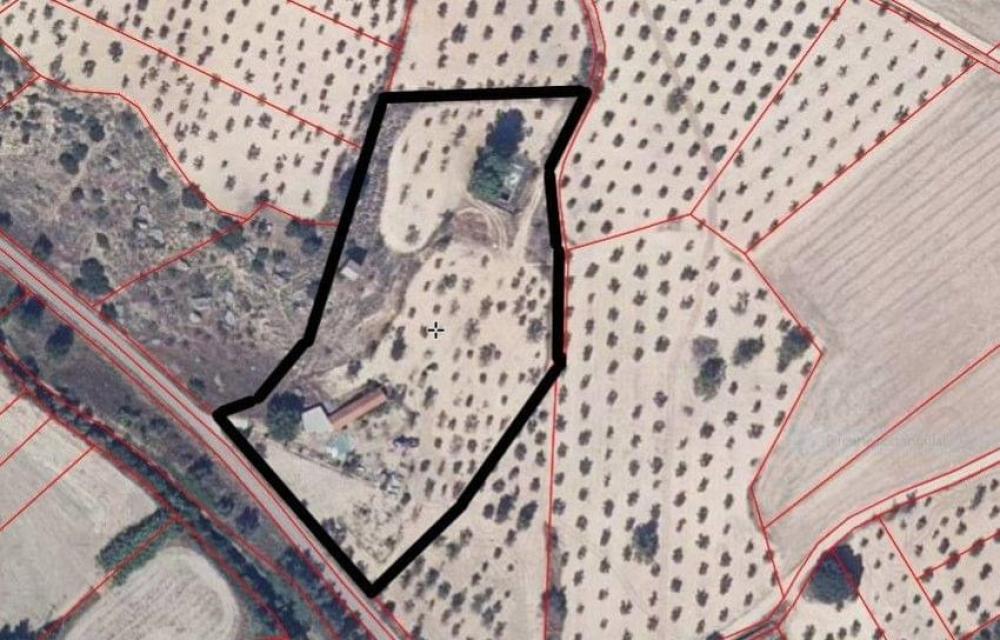  en venta finca rústica Almoguera Campiña 1