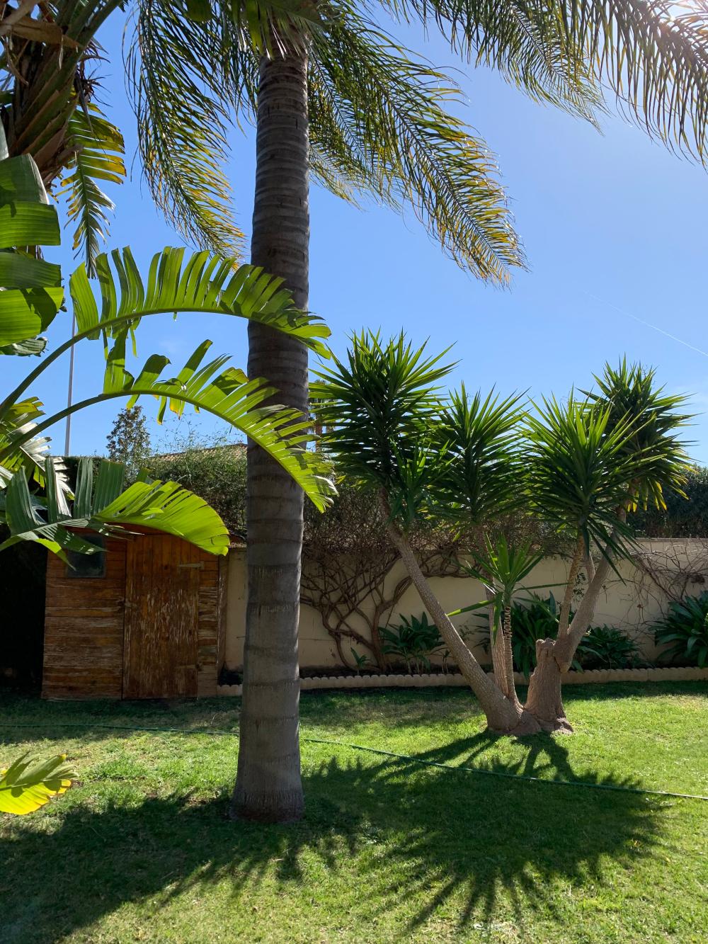  en venta chalet San Antonio De Benagéber Camp De Túria 127