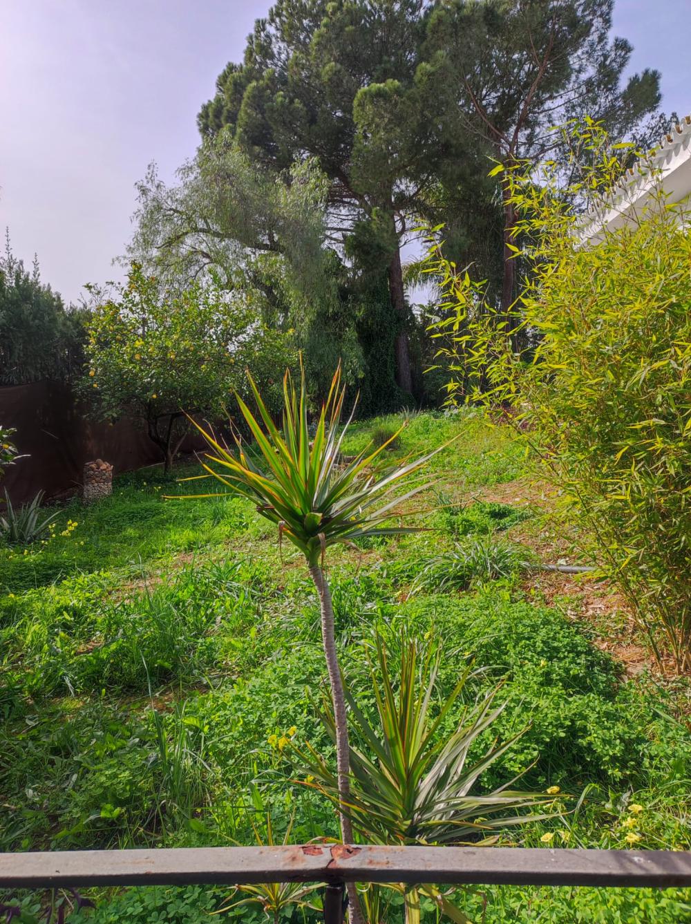  en venta chalet Alcalá De Guadaira Metropolitana De Sevilla 4