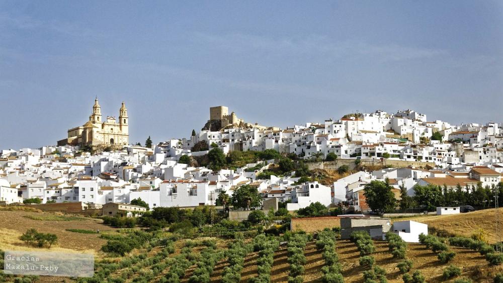 en venta finca rústica Pruna Sierra Sur 13