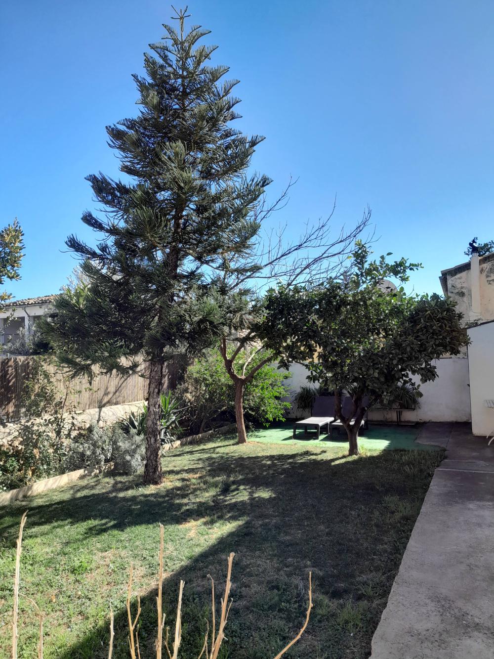  en venta casa Alaró Raiguer 19