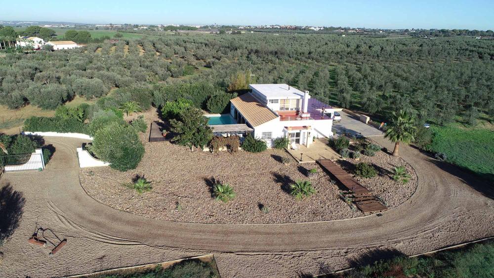  en venta finca rústica Aznalcázar Aljarafe 22
