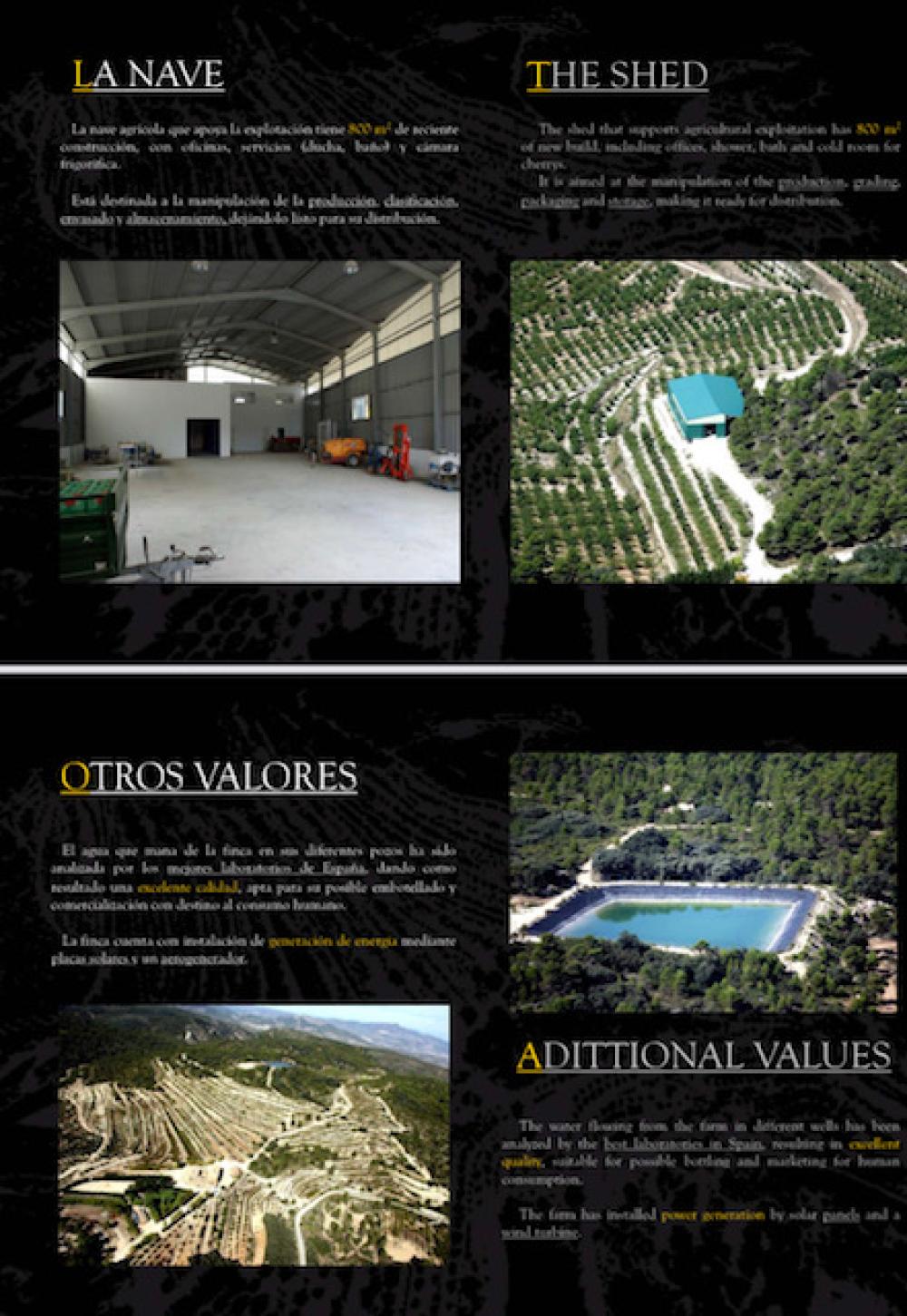  en venta finca rústica Penàguila Alcoia 14