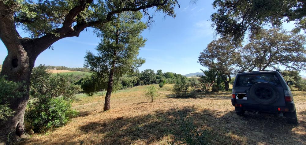  en venta finca rústica Arcos De La Frontera Sierra De Cádiz 39