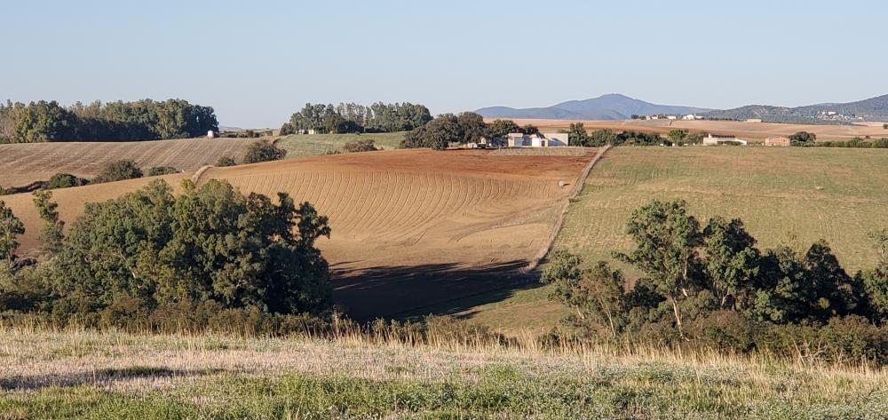  en venta finca rústica Arcos De La Frontera Sierra De Cádiz 32