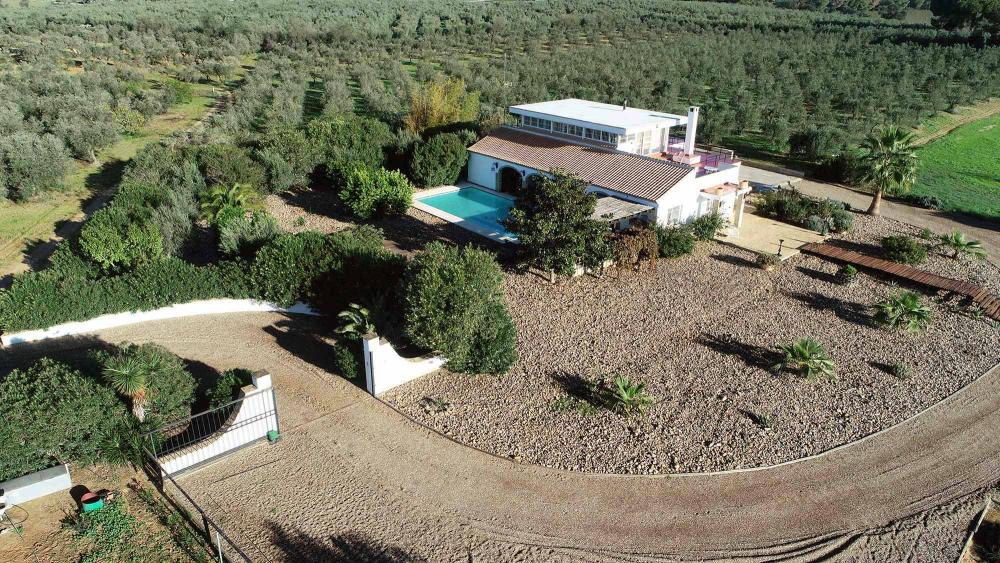  en venta finca rústica Aznalcázar Aljarafe 1