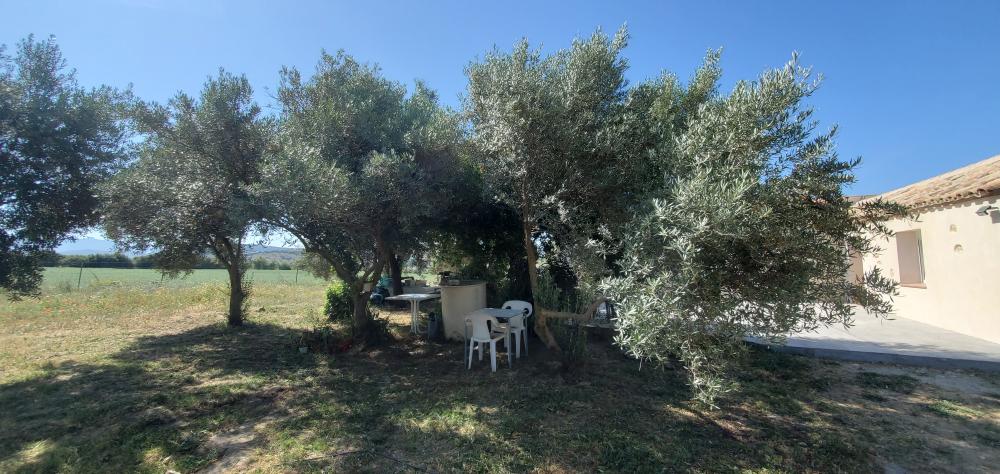  en venta finca rústica Arcos De La Frontera Sierra De Cádiz 13
