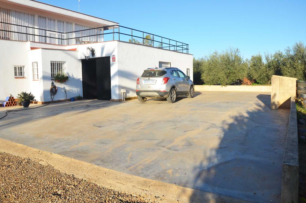  en venta finca rústica Aznalcázar Aljarafe 20