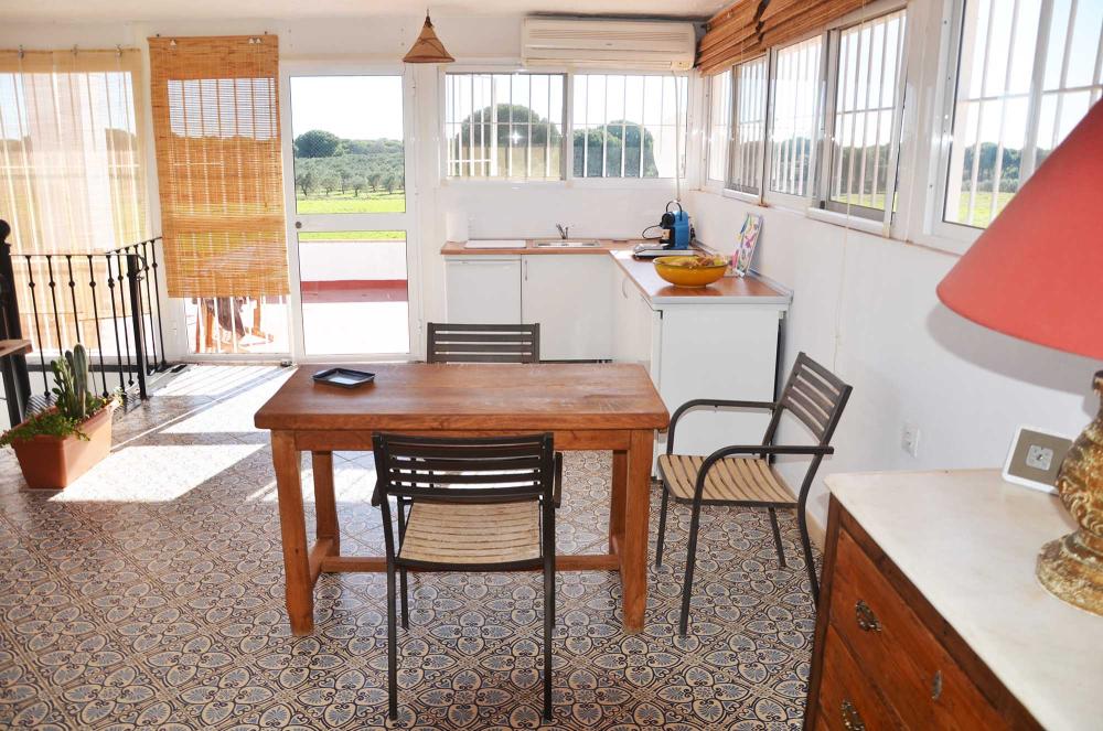  en venta finca rústica Aznalcázar Aljarafe 17