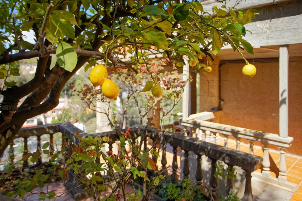  en venta casa Sarrià-Sant Gervasi-Vallvidrera-Tibidabo-Les Planes Barcelonès 28