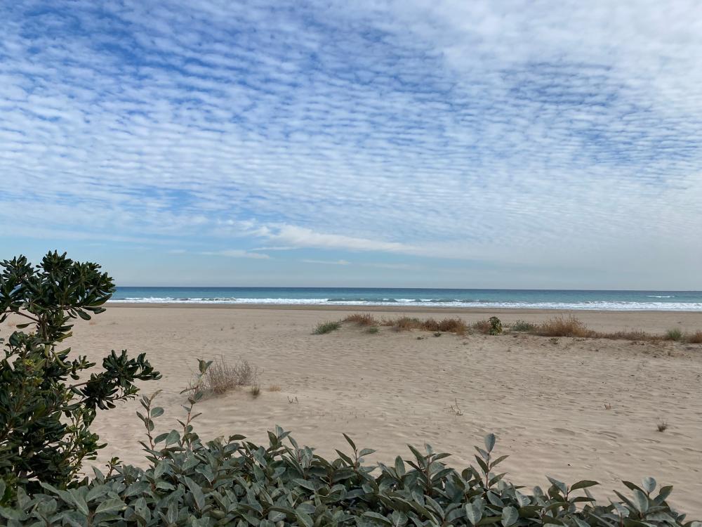  en venta ático El Puerto De Sagunto Camp De Morvedre 44