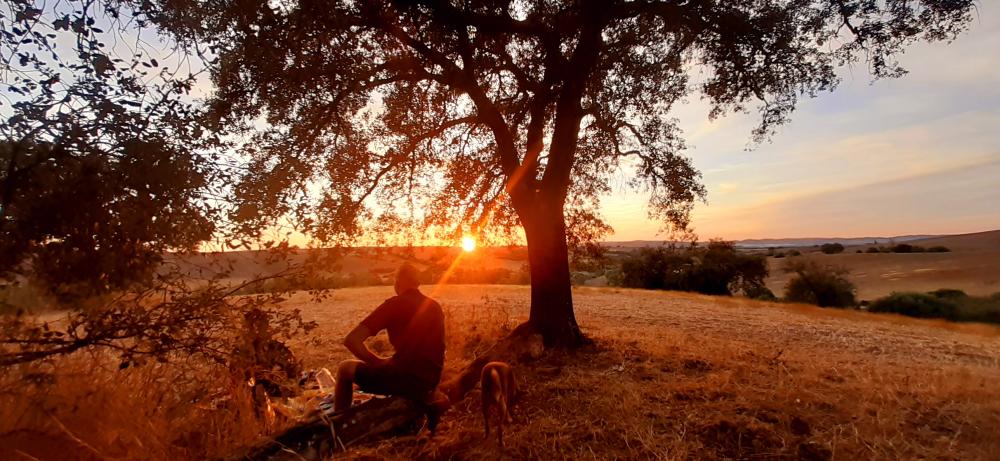  en venta finca rústica Arcos De La Frontera Sierra De Cádiz 40