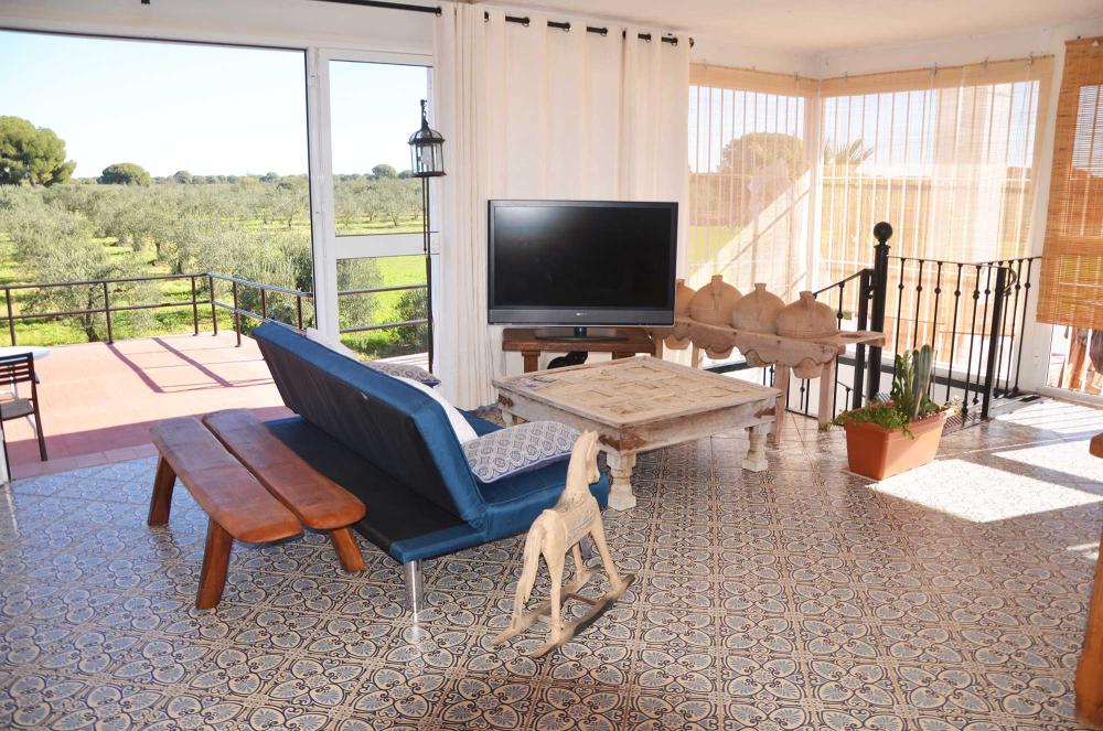  en venta finca rústica Aznalcázar Aljarafe 16