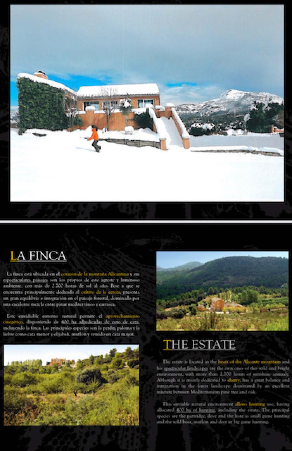  en venta finca rústica Penàguila Alcoia 4