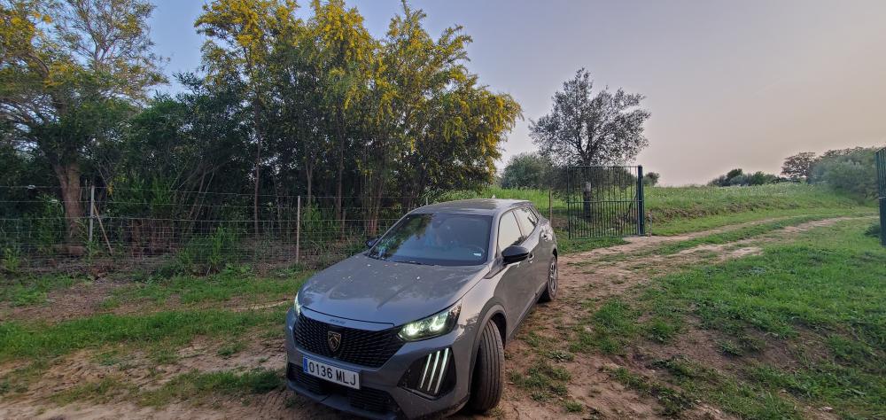  en venta finca rústica Arcos De La Frontera Sierra De Cádiz 31