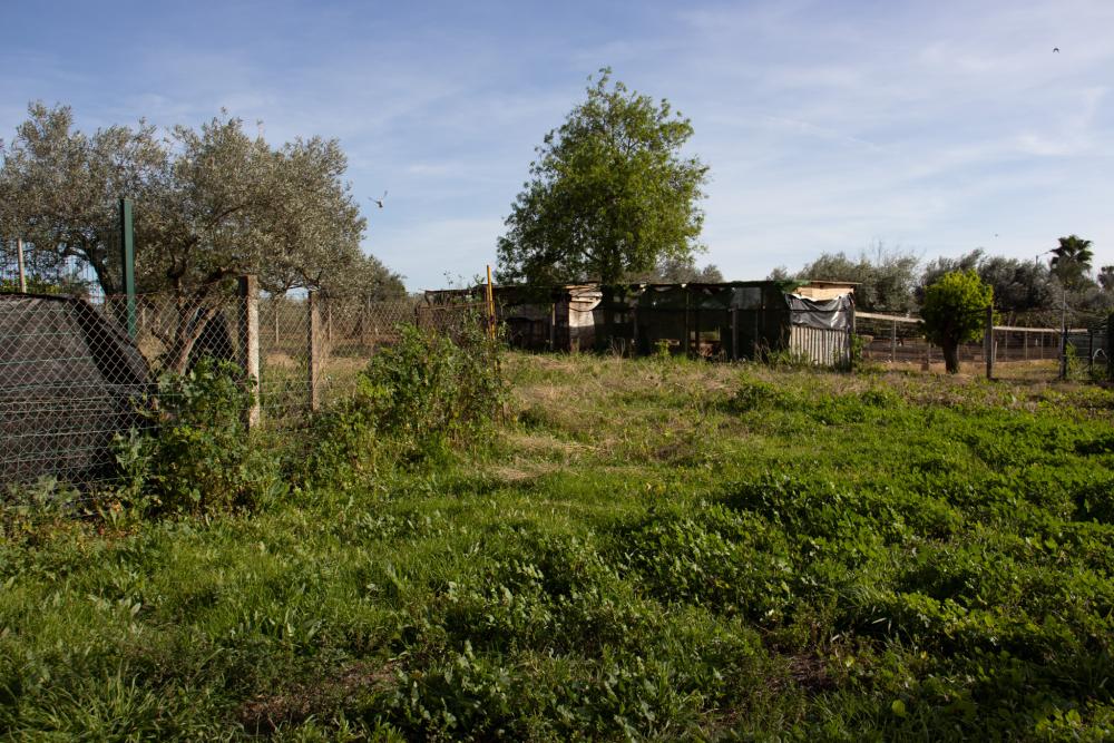  en venta chalet Alcalá De Guadaira Metropolitana De Sevilla 26