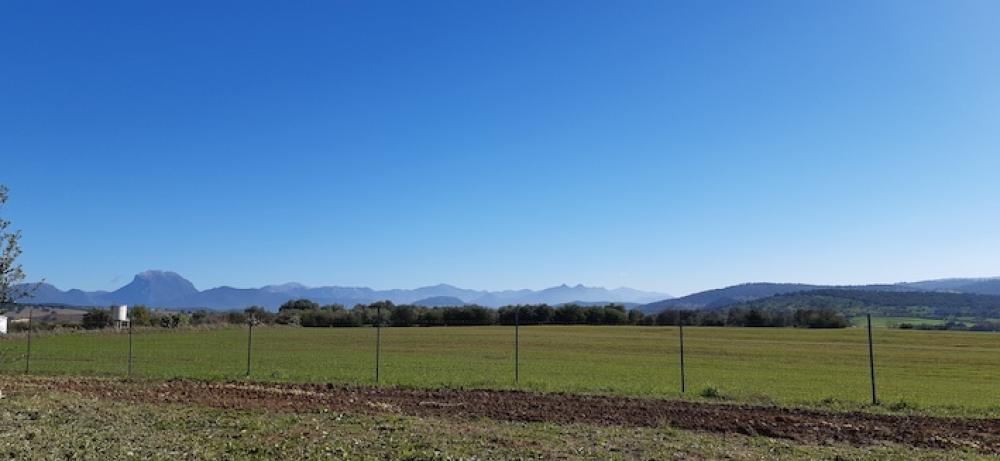  en venta finca rústica Arcos De La Frontera Sierra De Cádiz 35