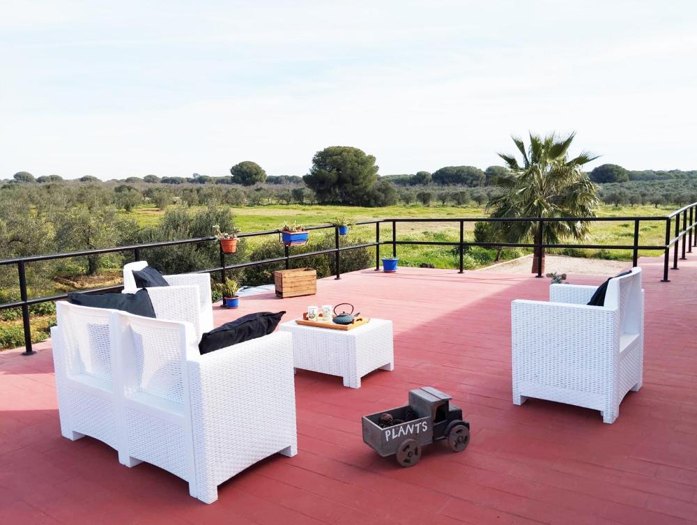  en venta finca rústica Aznalcázar Aljarafe 19