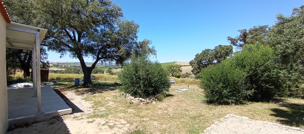  en venta finca rústica Arcos De La Frontera Sierra De Cádiz 16