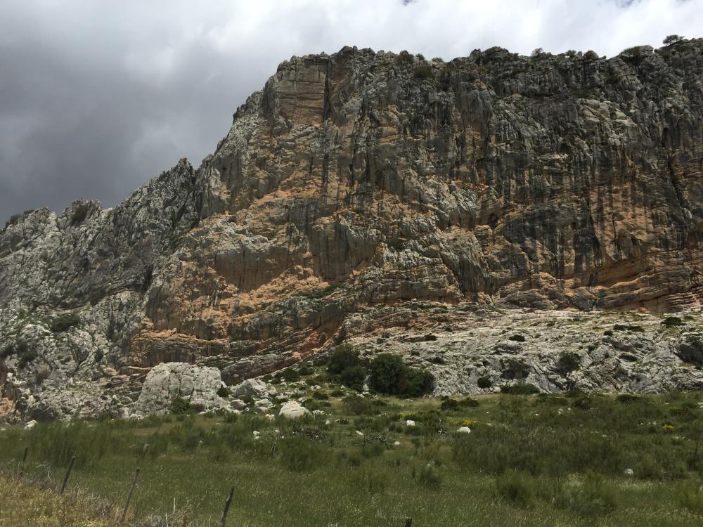  en venta finca rústica Villanueva De La Concepción Antequera 6