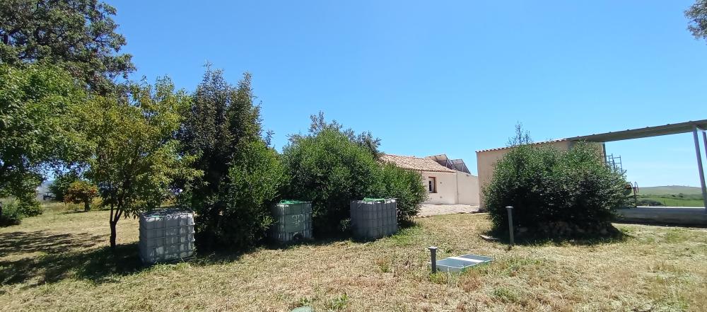  en venta finca rústica Arcos De La Frontera Sierra De Cádiz 11