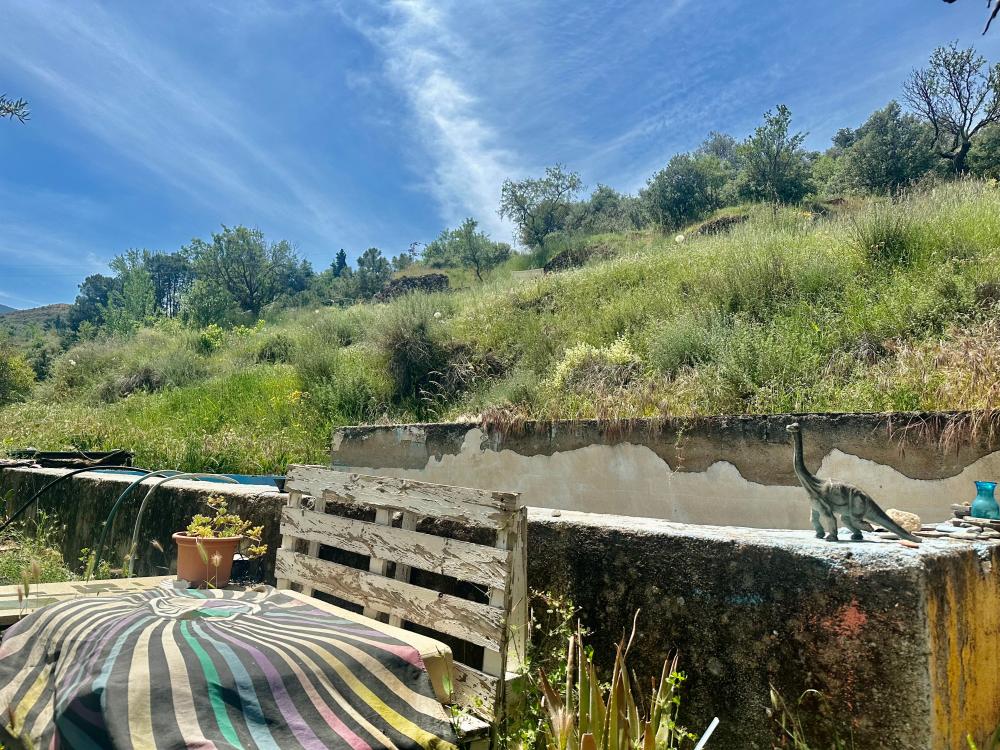  en venta finca rústica Monachil Vega De Granada 3