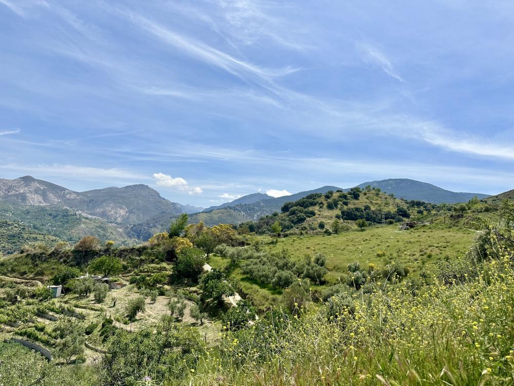  en venta finca rústica Monachil Vega De Granada 25