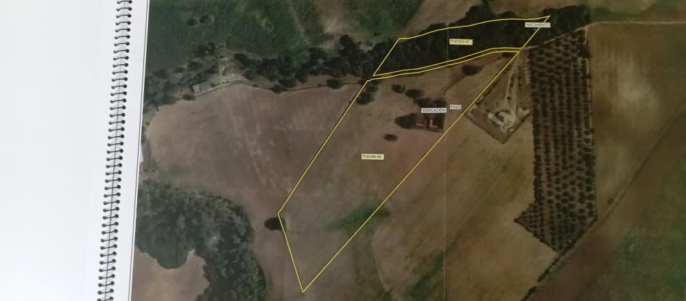  en venta finca rústica Arcos De La Frontera Sierra De Cádiz 52