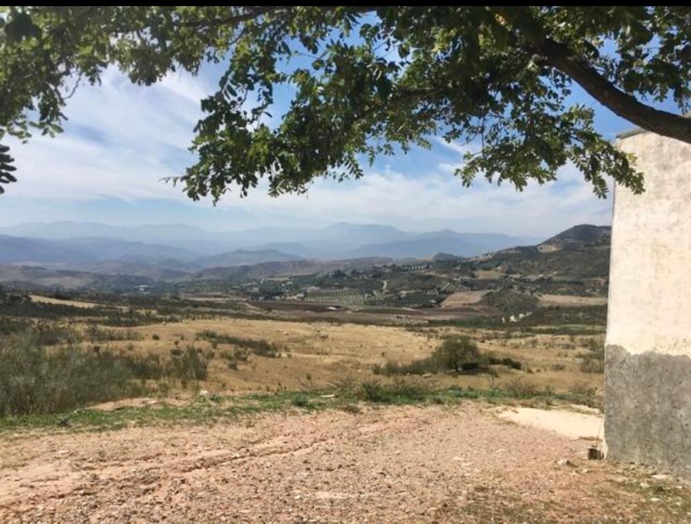  en venta finca rústica Villanueva De La Concepción Antequera 5