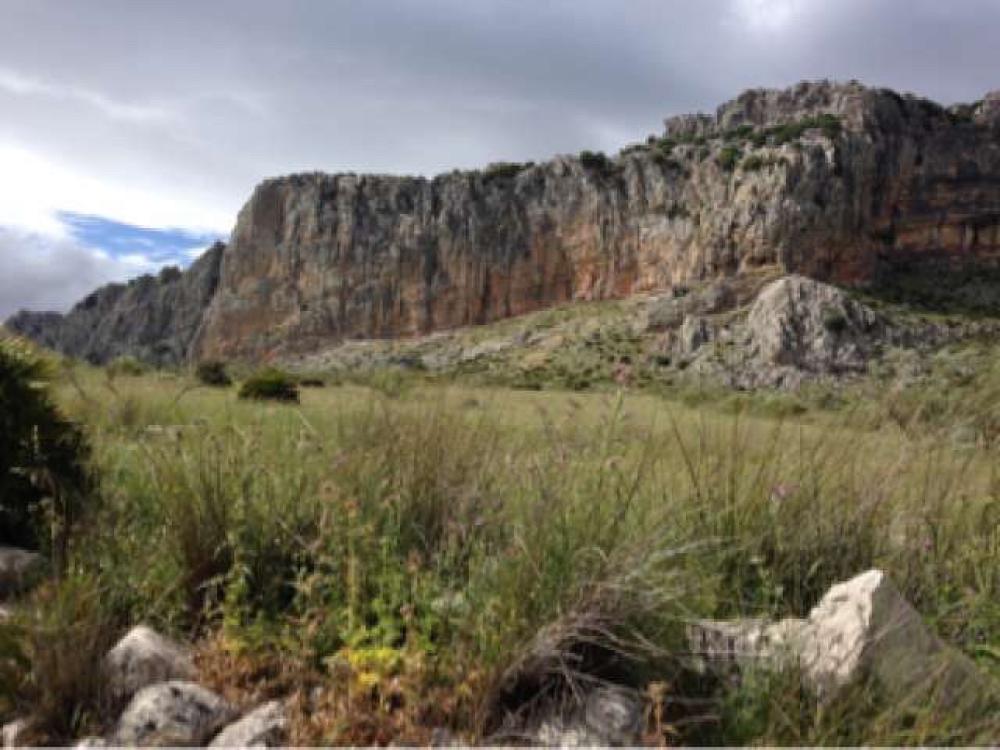  en venta finca rústica Villanueva De La Concepción Antequera 2