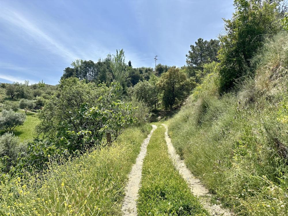  en venta finca rústica Monachil Vega De Granada 27