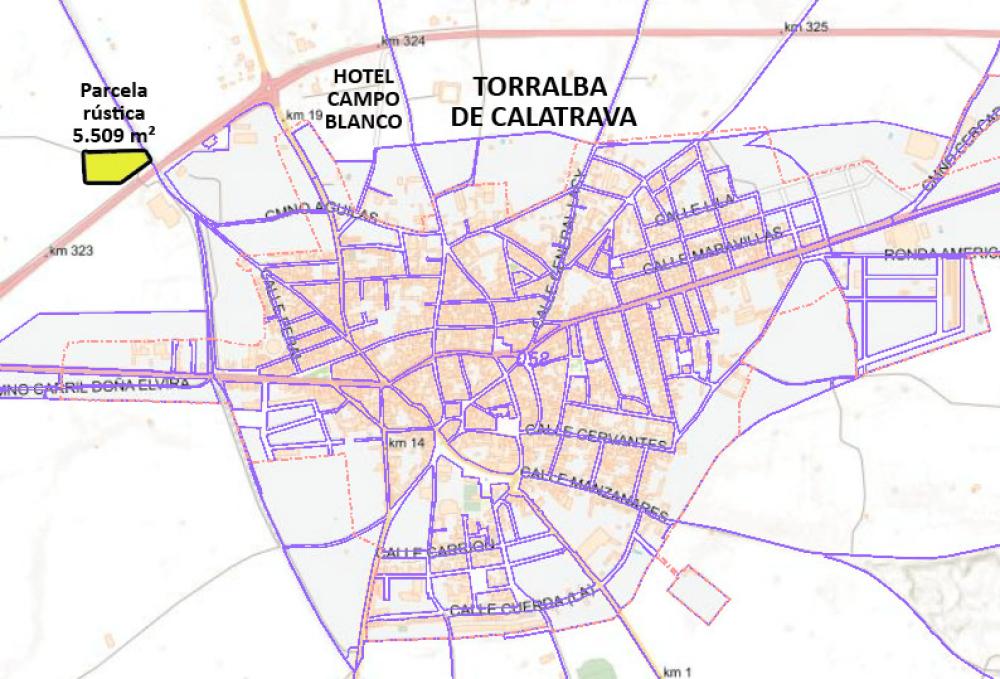 en venta terreno Torralba De Calatrava Campo De Calatrava 3