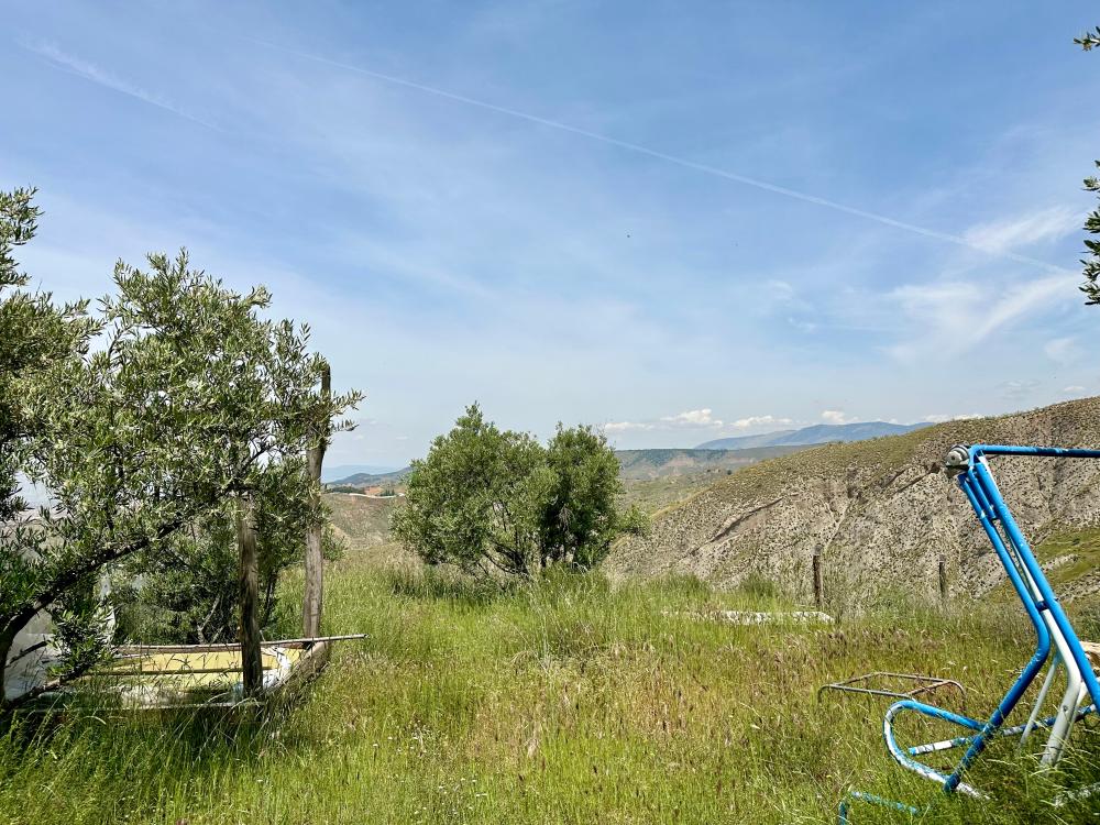  en venta finca rústica Monachil Vega De Granada 22