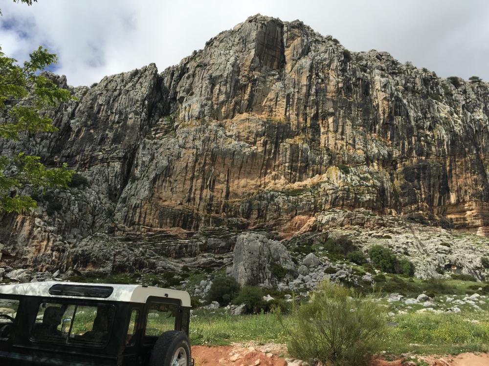  en venta finca rústica Villanueva De La Concepción Antequera 1