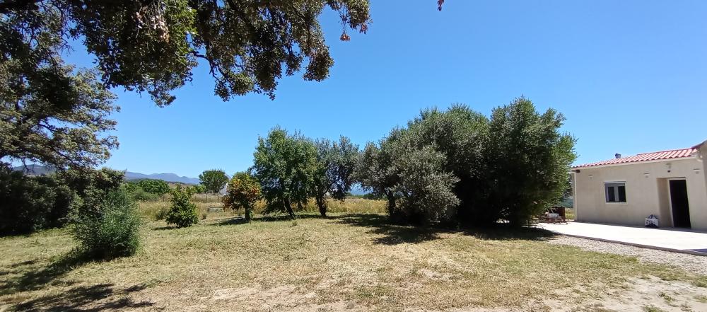  en venta finca rústica Arcos De La Frontera Sierra De Cádiz 5