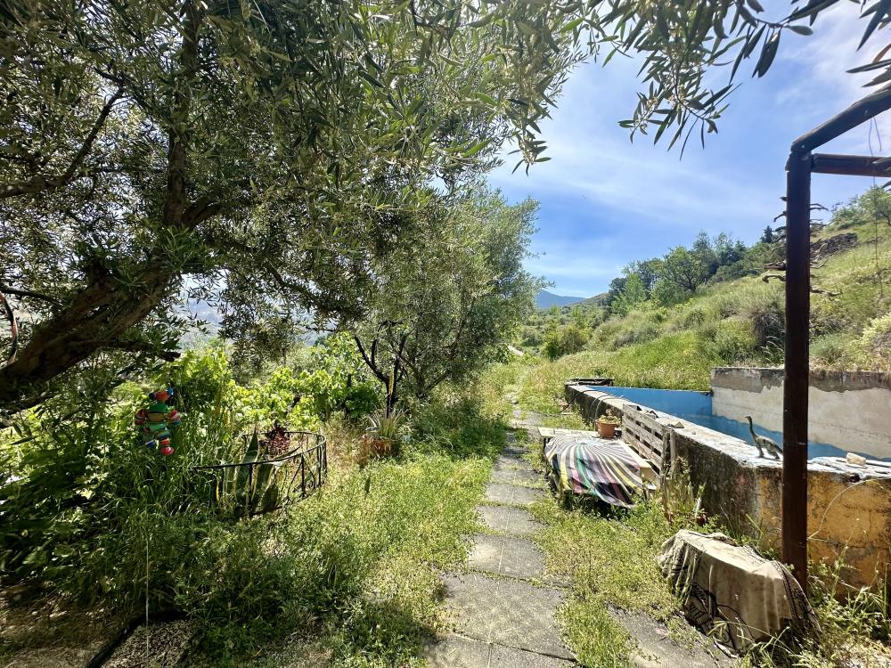  en venta finca rústica Monachil Vega De Granada 4